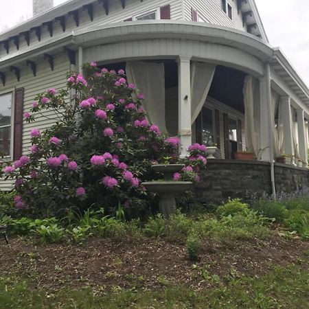 Bel'S Inn Bed And Breakfast คิงสตัน ภายนอก รูปภาพ